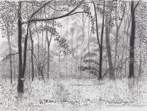 2010s : Drawings : Works | David Hockney