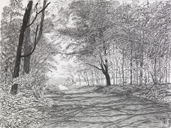 Arrival of Spring 2013 : Drawings : Works | David Hockney